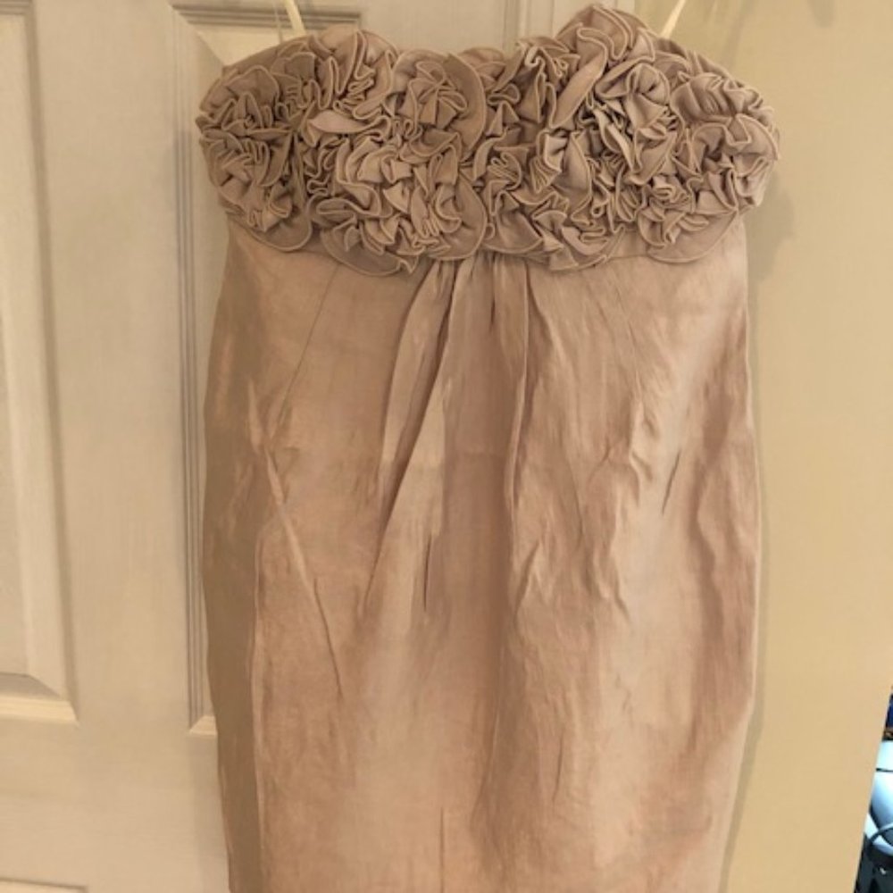 NEW Blush ruffled bodice cocktail dress